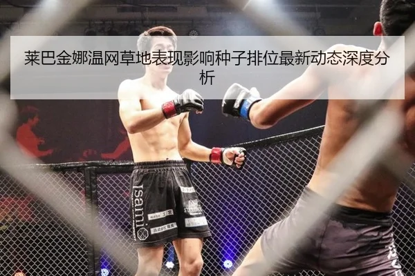莱巴金娜温网草地表现影响种子排位最新动态深度分析
